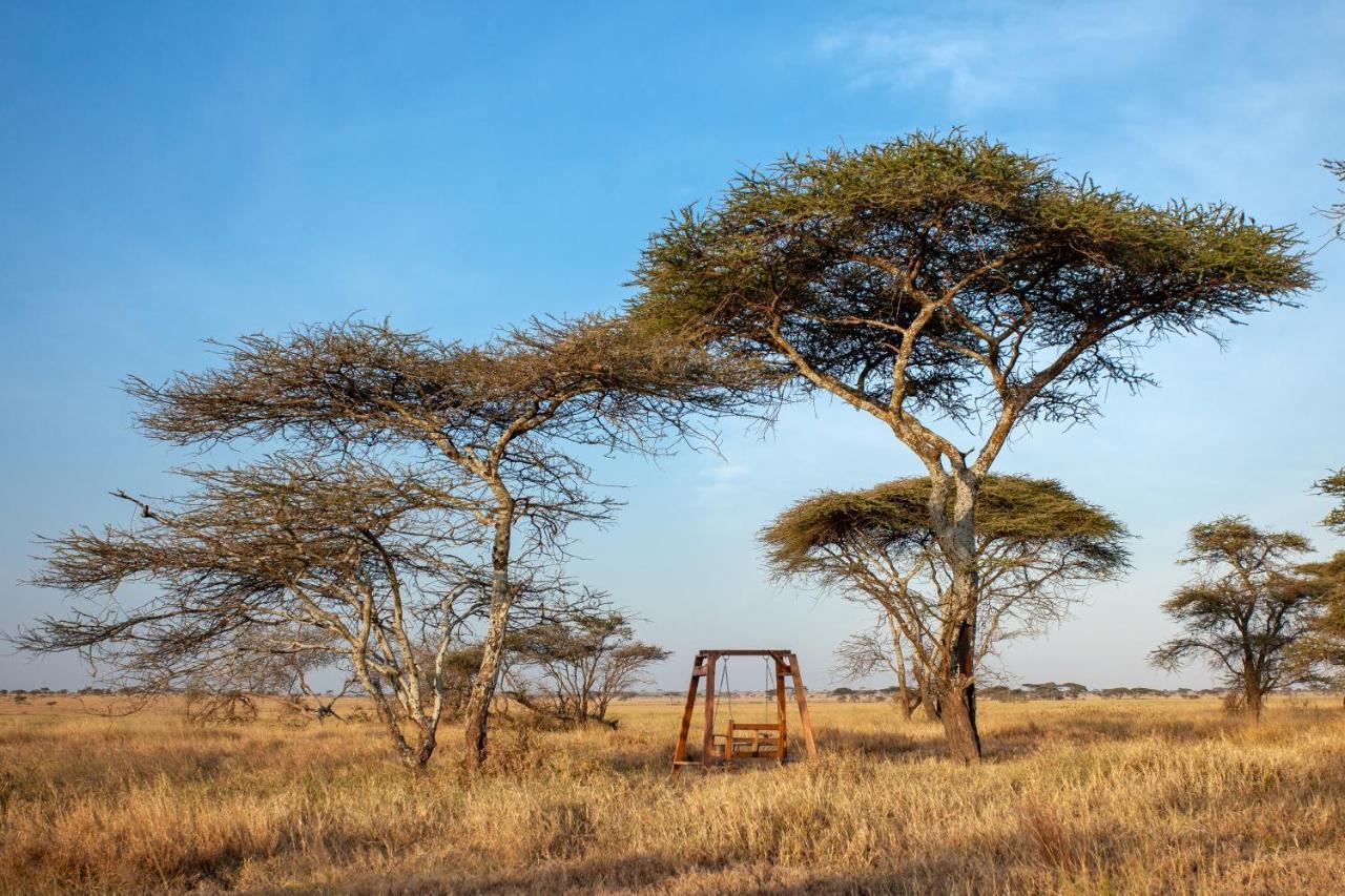 Mawe Tented Camp Σερενγκέτι Εξωτερικό φωτογραφία